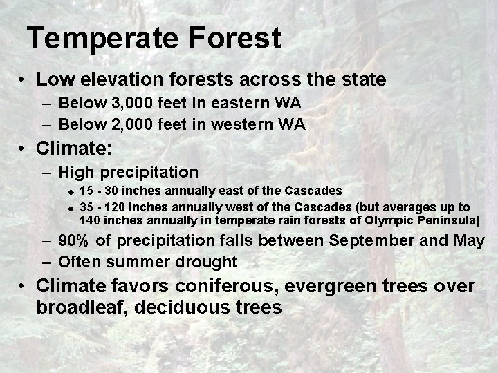 Temperate Forest • Low elevation forests across the state – Below 3, 000 feet