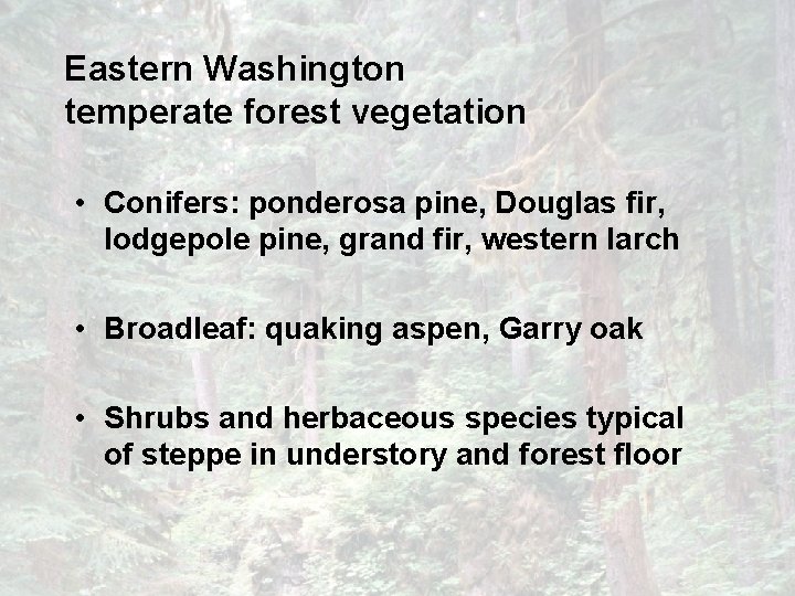 Eastern Washington temperate forest vegetation • Conifers: ponderosa pine, Douglas fir, lodgepole pine, grand