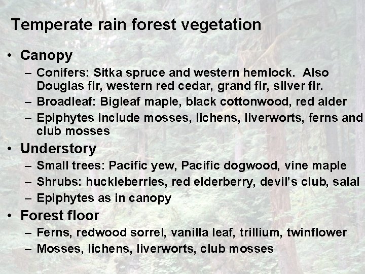 Temperate rain forest vegetation • Canopy – Conifers: Sitka spruce and western hemlock. Also