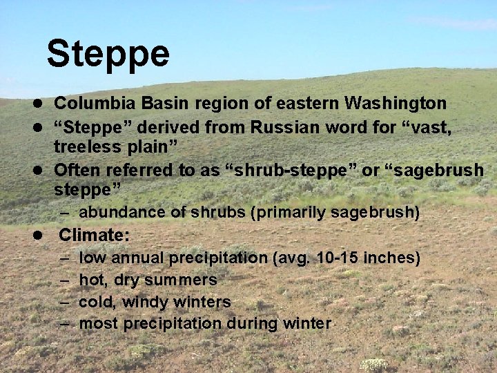 Steppe l Columbia Basin region of eastern Washington l “Steppe” derived from Russian word