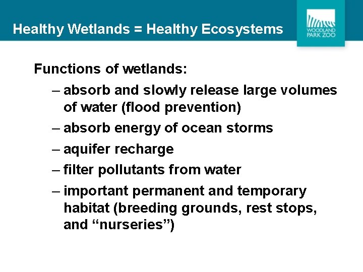 Healthy Wetlands = Healthy Ecosystems Functions of wetlands: – absorb and slowly release large