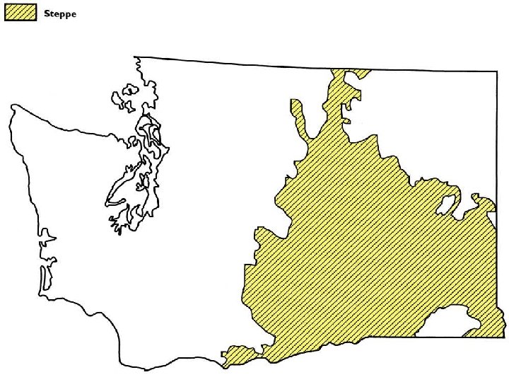 Map showing historical extent of steppe habitat 