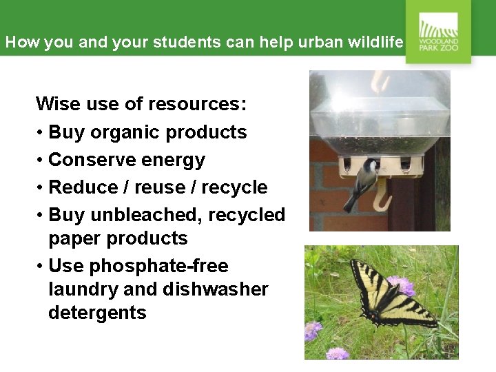How you and your students can help urban wildlife Wise use of resources: •