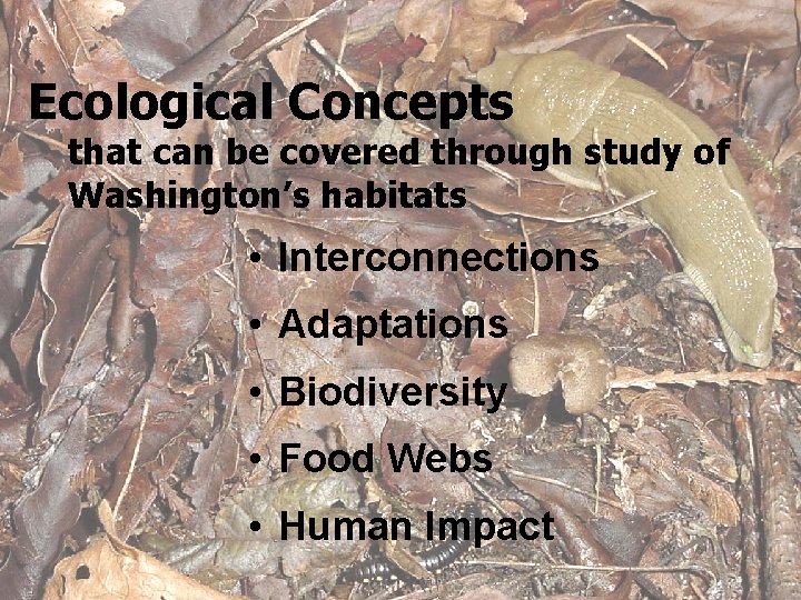 Ecological Concepts that can be covered through study of Washington’s habitats • Interconnections •