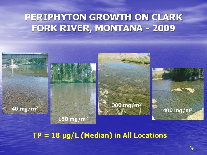 PERIPHYTON GROWTH ON CLARK FORK RIVER, MONTANA - 2009 40 300 mg/m 2 400