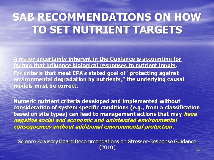 SAB RECOMMENDATIONS ON HOW TO SET NUTRIENT TARGETS A major uncertainty inherent in the
