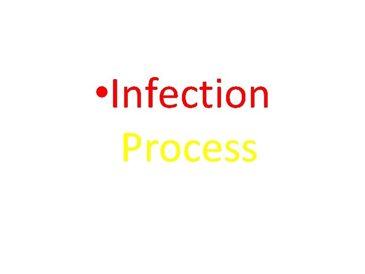  • Infection Process 