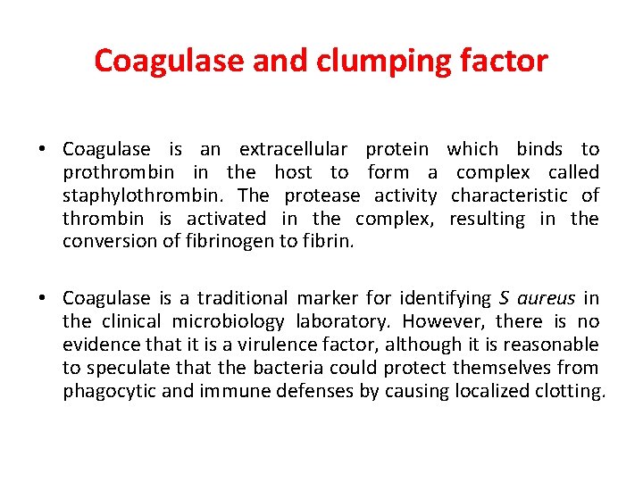 Coagulase and clumping factor • Coagulase is an extracellular protein prothrombin in the host