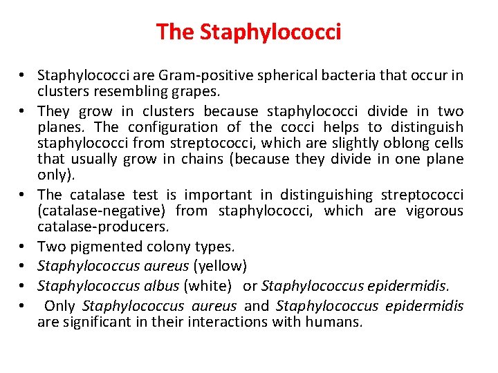 The Staphylococci • Staphylococci are Gram-positive spherical bacteria that occur in clusters resembling grapes.