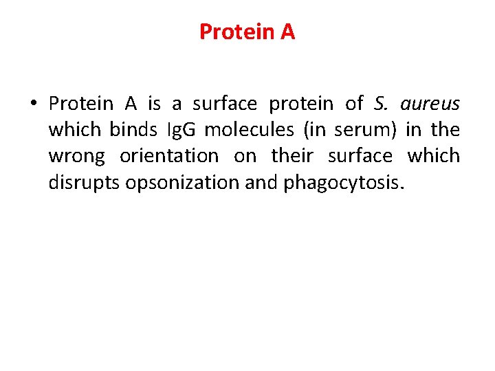Protein A • Protein A is a surface protein of S. aureus which binds