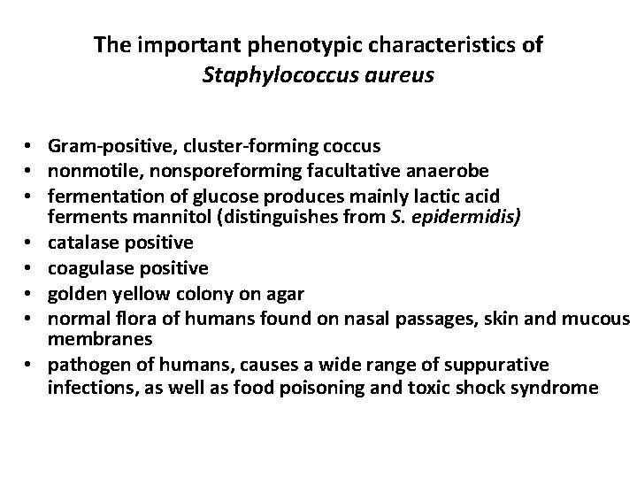 The important phenotypic characteristics of Staphylococcus aureus • Gram-positive, cluster-forming coccus • nonmotile, nonsporeforming