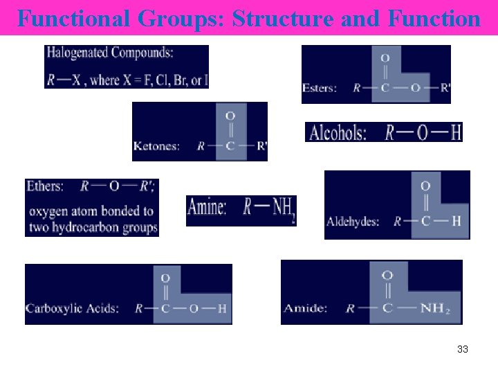 Functional Groups: Structure and Function 33 