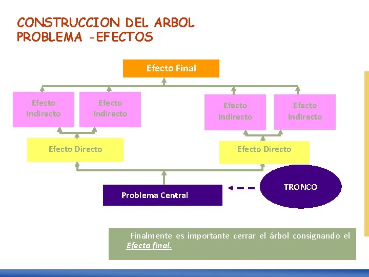 CONSTRUCCION DEL ARBOL PROBLEMA -EFECTOS Efecto Final Efecto Indirecto Efecto Directo Problema Central TRONCO