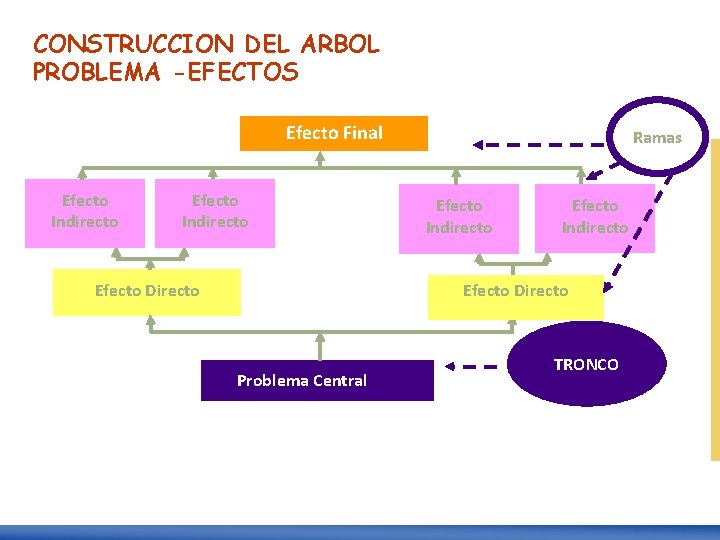 CONSTRUCCION DEL ARBOL PROBLEMA -EFECTOS Efecto Final Efecto Indirecto Efecto Directo Ramas Efecto Indirecto