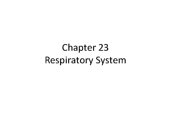 Chapter 23 Respiratory System 