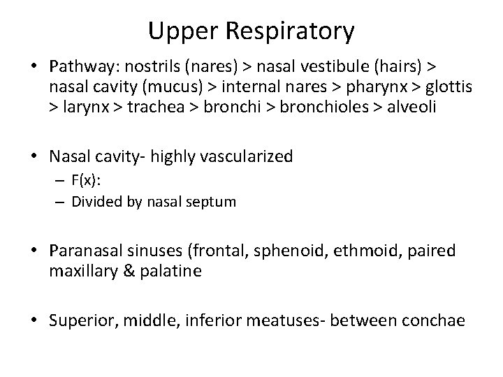 Upper Respiratory • Pathway: nostrils (nares) > nasal vestibule (hairs) > nasal cavity (mucus)