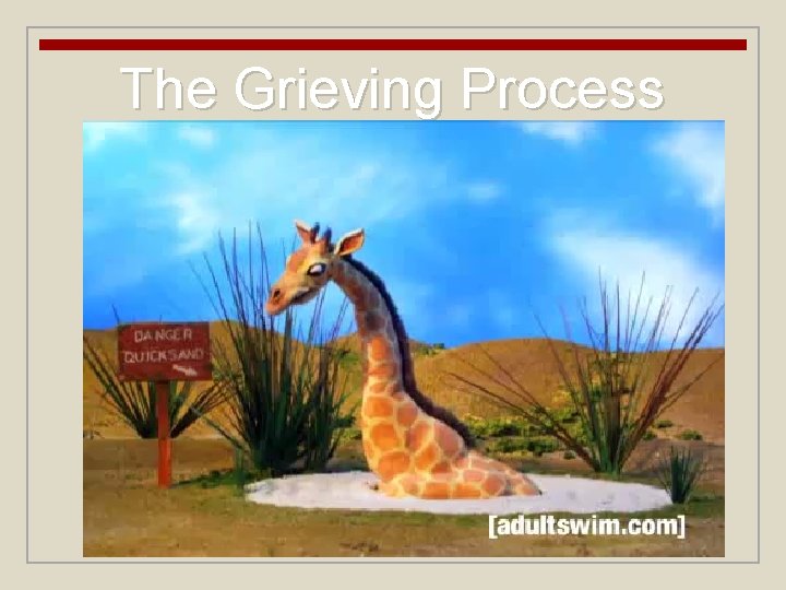 The Grieving Process The Grieving Process