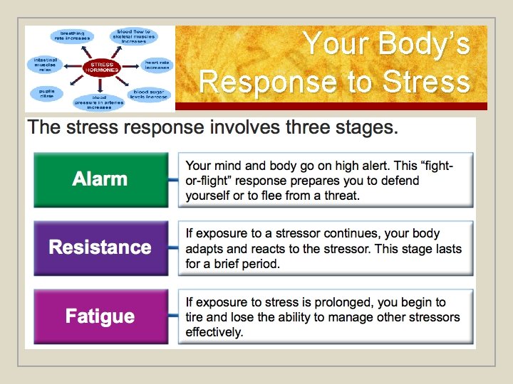 Your Body’s Response to Stress Your Body’s Response to Stress