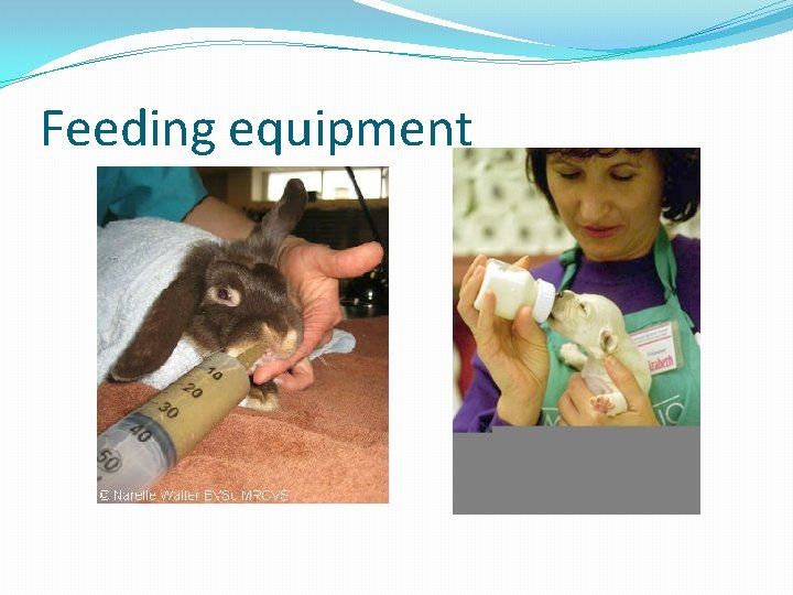 Feeding equipment 