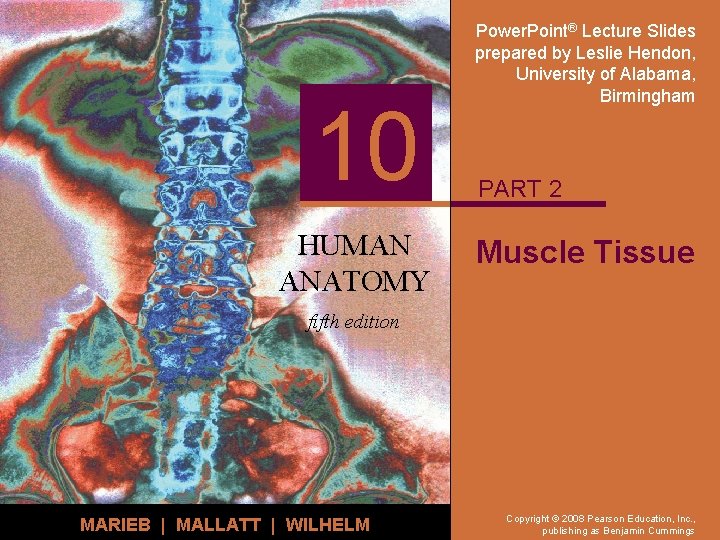 10 HUMAN ANATOMY Power. Point® Lecture Slides prepared by Leslie Hendon, University of Alabama,