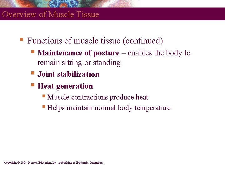 Overview of Muscle Tissue § Functions of muscle tissue (continued) § Maintenance of posture