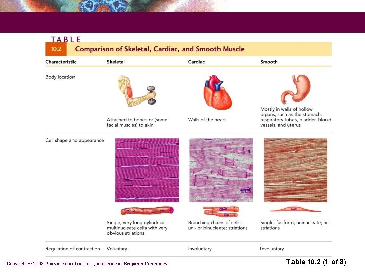 Copyright © 2008 Pearson Education, Inc. , publishing as Benjamin Cummings Table 10. 2