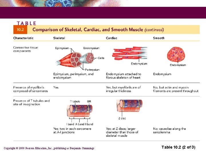 Copyright © 2008 Pearson Education, Inc. , publishing as Benjamin Cummings Table 10. 2