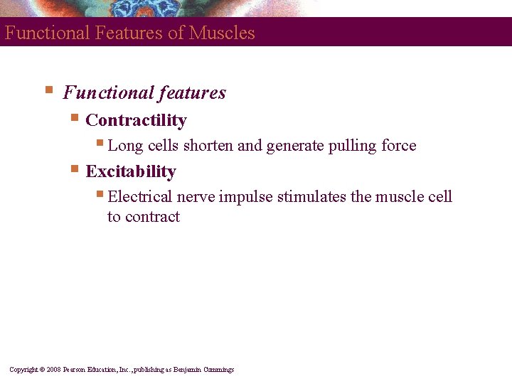 Functional Features of Muscles § Functional features § Contractility § Long cells shorten and