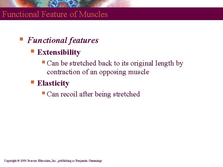 Functional Feature of Muscles § Functional features § Extensibility § Can be stretched back