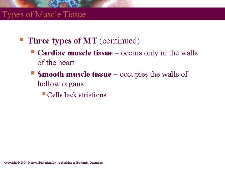 Types of Muscle Tissue § Three types of MT (continued) § Cardiac muscle tissue