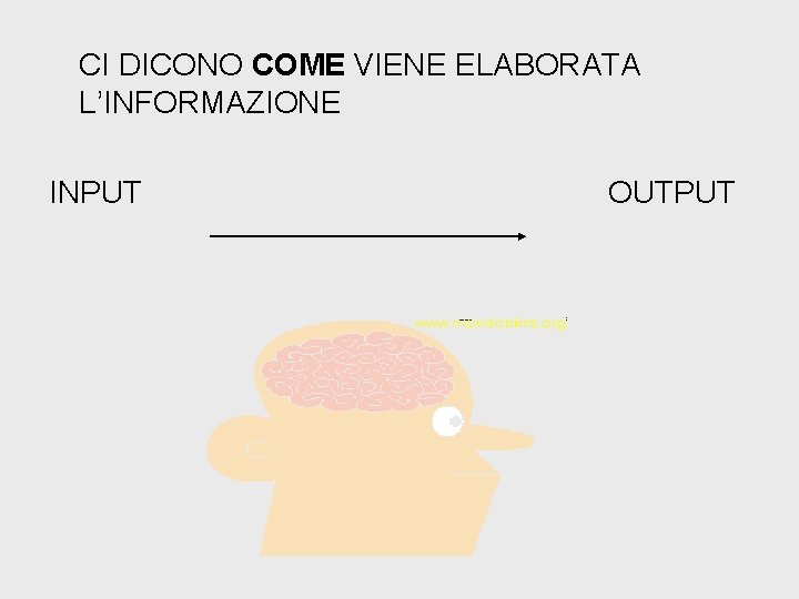 CI DICONO COME VIENE ELABORATA L’INFORMAZIONE INPUT OUTPUT 