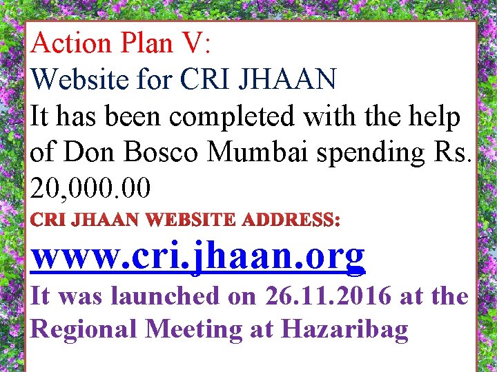 Action Plan V: Website for CRI JHAAN It has been completed with the help