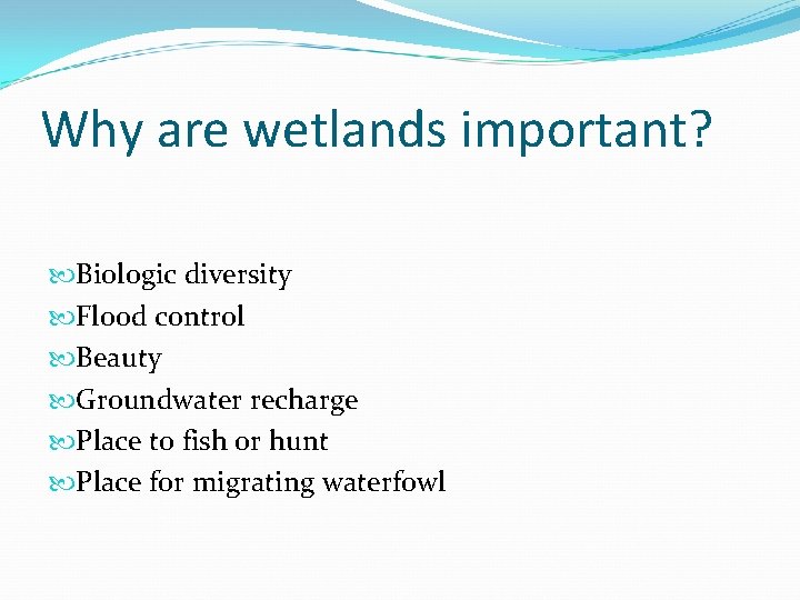 Why are wetlands important? Biologic diversity Flood control Beauty Groundwater recharge Place to fish