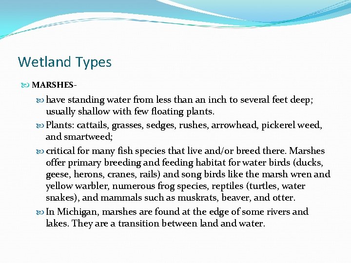 Wetland Types MARSHES have standing water from less than an inch to several feet