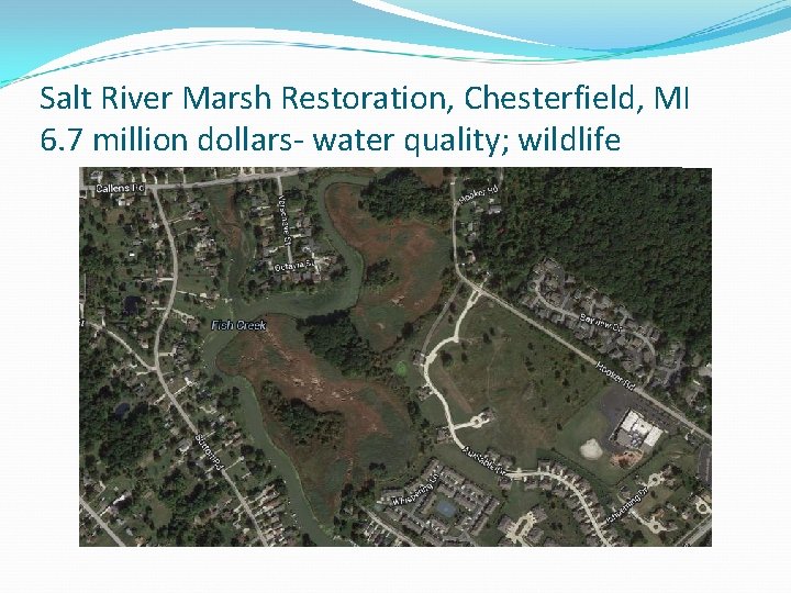 Salt River Marsh Restoration, Chesterfield, MI 6. 7 million dollars- water quality; wildlife 