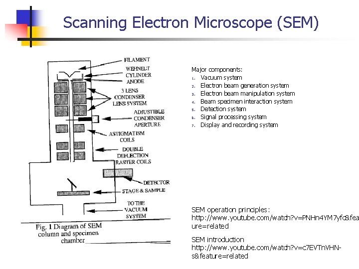 Scanning Electron Microscope (SEM) Major components: 1. Vacuum system 2. Electron beam generation system