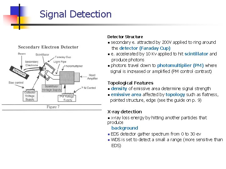 Signal Detection Detector Structure secondary e. attracted by 200 V applied to ring around