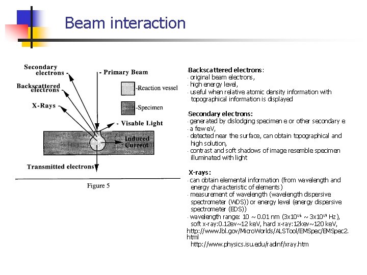 Beam interaction • Backscattered • • • electrons: original beam electrons, high energy level,