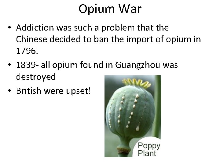 Opium War • Addiction was such a problem that the Chinese decided to ban