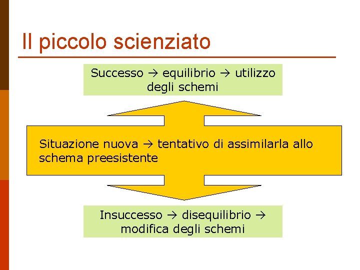 Il piccolo scienziato Successo equilibrio utilizzo degli schemi Situazione nuova tentativo di assimilarla allo