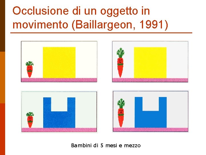 Occlusione di un oggetto in movimento (Baillargeon, 1991) Bambini di 5 mesi e mezzo