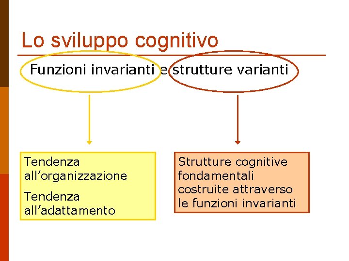 Lo sviluppo cognitivo Funzioni invarianti e strutture varianti Tendenza all’organizzazione Tendenza all’adattamento Strutture cognitive