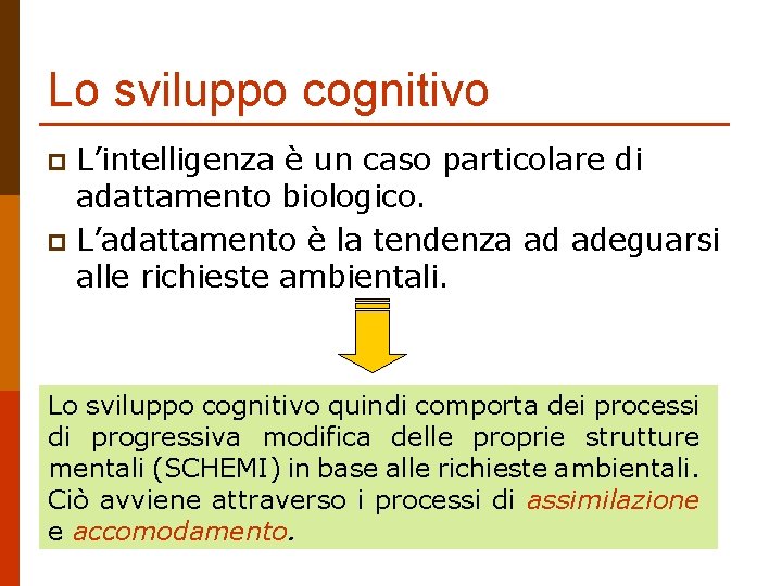Lo sviluppo cognitivo L’intelligenza è un caso particolare di adattamento biologico. p L’adattamento è