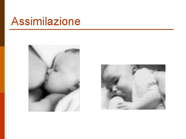 Assimilazione 