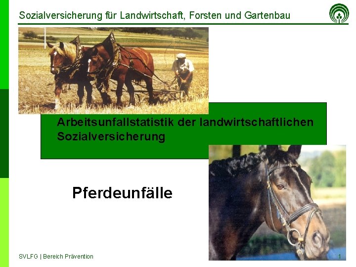 Sozialversicherung für Landwirtschaft, Forsten und Gartenbau Arbeitsunfallstatistik der landwirtschaftlichen Sozialversicherung Pferdeunfälle SVLFG | Bereich