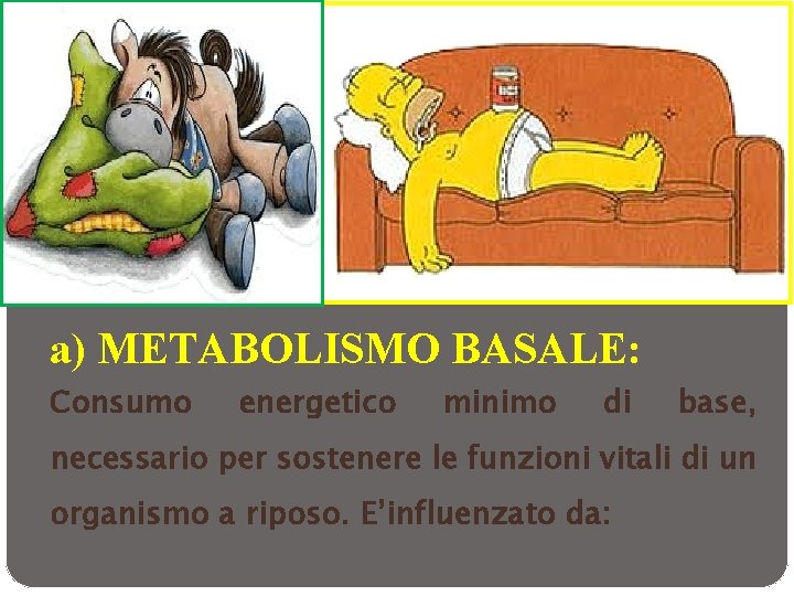 a) METABOLISMO BASALE: Consumo energetico minimo di base, necessario per sostenere le funzioni vitali