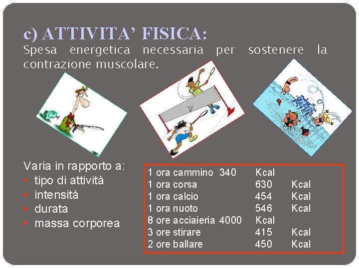 c) ATTIVITA’ FISICA: Spesa energetica necessaria contrazione muscolare. Varia in rapporto a: • tipo