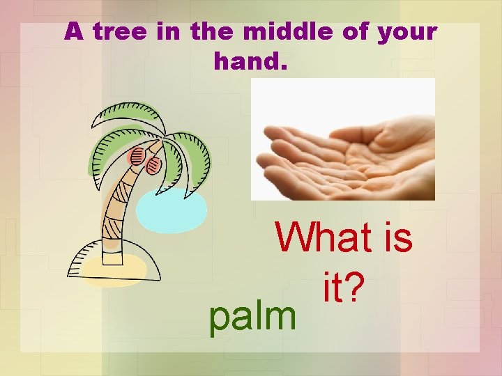 A tree in the middle of your hand. What is it? palm 