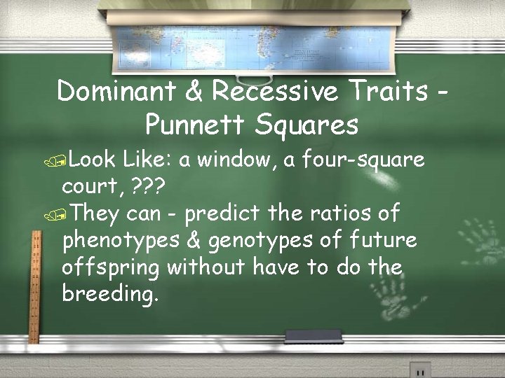 Dominant & Recessive Traits Punnett Squares Look Like: a window, a four-square court, ?