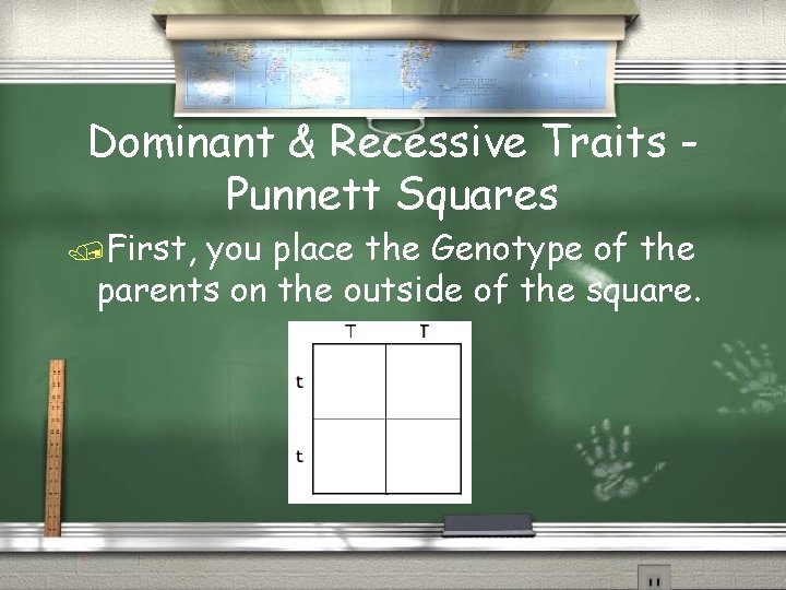 Dominant & Recessive Traits Punnett Squares First, you place the Genotype of the parents